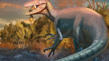 Descubren un gran dinosaurio argentino que aporta datos inéditos sobre depredadores: qué había en su mandíbula