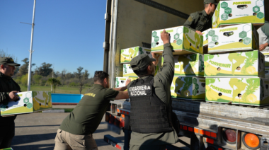 Incautan 444 kilos de cocaína ocultos en un cargamento de bananas