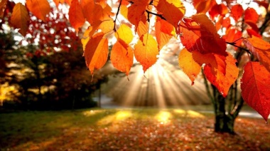 Oficialmente, ya llegó el otoño