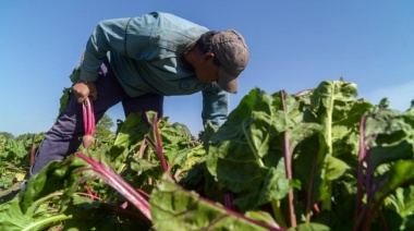 Productores de la agricultura familiar recibirán tierras estatales
