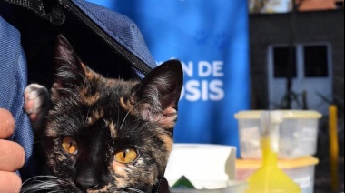 Atienden miles de mascotas de forma gratuita en Lomas