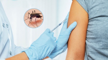 Ya está disponible la vacuna contra el dengue: ¿dónde empezará a aplicarse?
