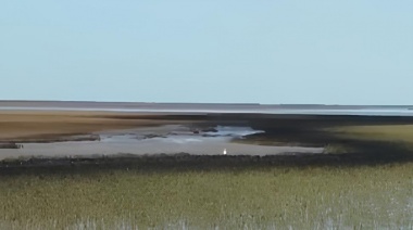 Derrame de petróleo en Bahía Blanca y Coronel Rosales: la Provincia suspendió operaciones de la empresa