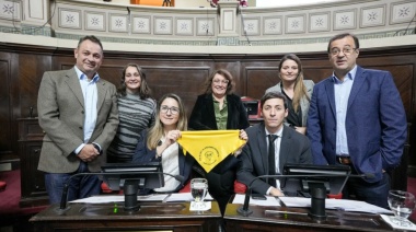 Media sanción para el proyecto clave que declara el 14 de marzo como el Día de la Endometriosis
