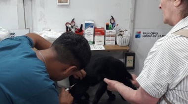 Durante toda la semana el Hospital de Mascotas tendrá su tráiler en Budge