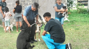 Habrá trailer para mascotas gratuito en Fiorito