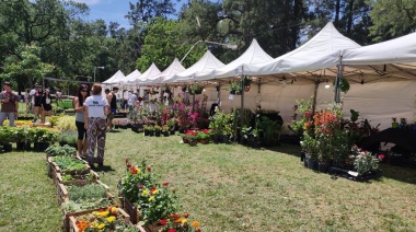 Finde a pura fiesta: qué hacer en la Provincia del 6 al 13 de marzo