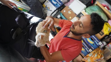 Por el Día del Animal, habrá atención especial a mascotas toda la semana