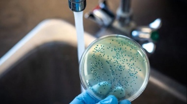 Qué es la Fiebre tifoidea, la enfermedad infecciosa que se detectó en Tres de Febrero con 17 casos confirmados