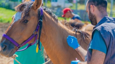 Van tres muertes por Encefalitis Equina y se confirman casos en 19 municipios