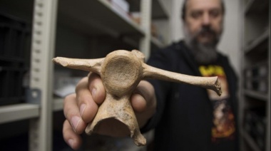 Científicos de La Plata descubren el registro de presencia humana más antiguo de Sudamérica