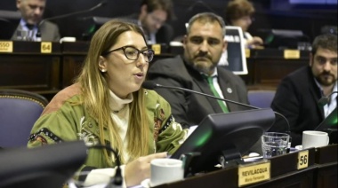 Diputada de Unión por la Patria presentó un proyecto de Boleta Única y busca su tratamiento en Provincia