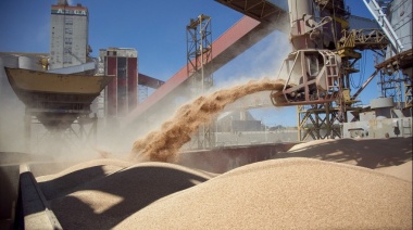 Programa de Incremento Agroexportador: las claves