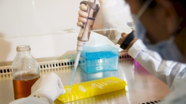 Cómo anotarse en las becas de investigación, que pagan $960.000