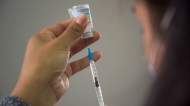 Diez claves sobre la vacuna contra el dengue que aplicará la Provincia desde octubre