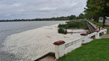Aparecieron cientos de peces muertos en la laguna de San Miguel del Monte