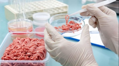 Triquinosis: se registraron cuatro brotes en la provincia en lo que va del año