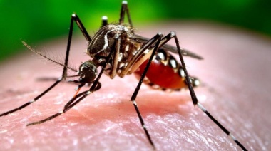 Confirman brotes de dengue en 17 municipios