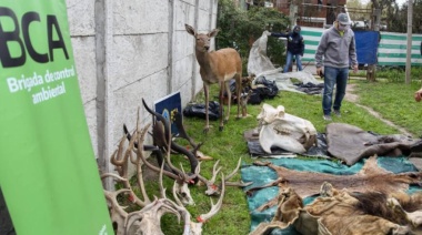 Desmantelan dos talleres clandestinos en Tandil y Longchamps