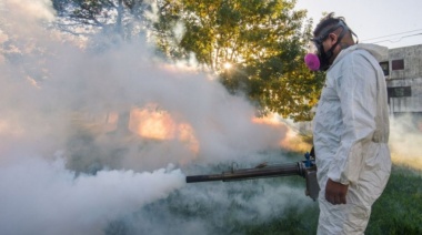 Dengue: para la Provincia es la epidemia “más grande de la historia del país”