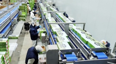 "Nos quedamos todos sin trabajo”: despidieron a 40 trabajadores de un histórico frigorífico de Azul