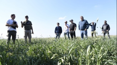 Chacras experimentales: aumentaron en más de un 20% en la gestión de Kicillof