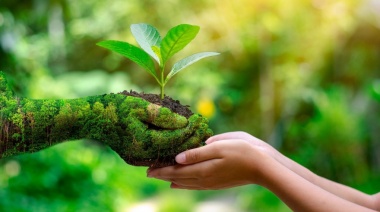 Día del Medio Ambiente: cuáles son los municipios más sustentables de la Provincia
