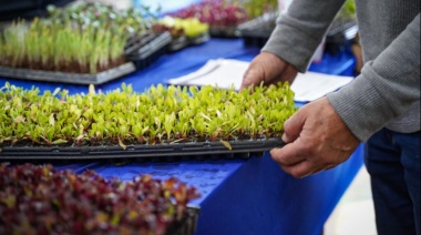 Desarrollo Agrario presentó la edición 2025 del programa Huerta Urbana Bonaerense