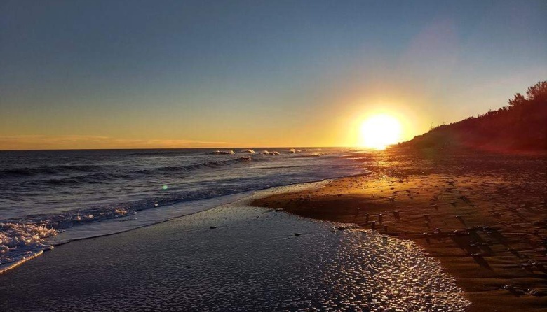 Bosque y playa: el secreto mejor guardado de la Costa Atlántica para ...