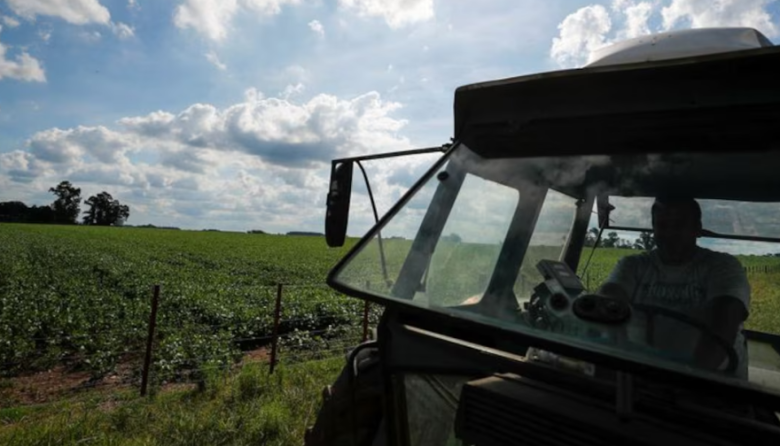 Advierten que dos municipios bonaerenses superan el tope legal de tierras en manos extranjeras