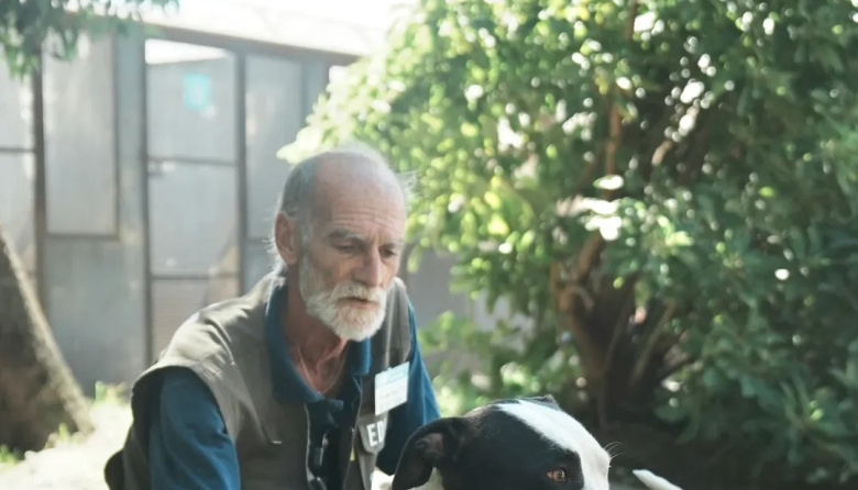 Lanzan una formación gratuita para "Paseadores Caninos de la Comunidad"