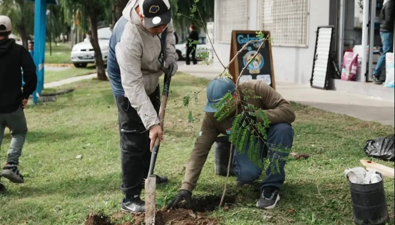 Forestar en Comunidad: el plan ambiental para plantar árboles nativos gratis en veredas de Lomas