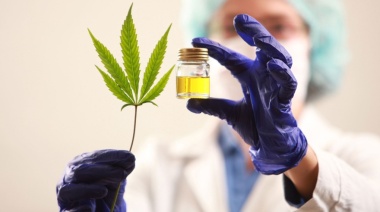 Inaugurarán el primer cultivo medicinal de cannabis en la Provincia