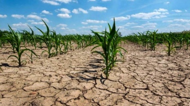 Productores de once partidos tendrán beneficios impositivos por la emergencia climática