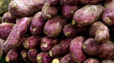 San Pedro celebra la Fiesta de la Batata 