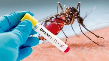 Los casos de dengue en Provincia superan los 3.000