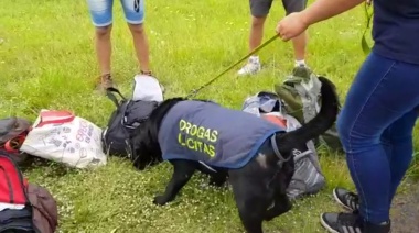 Subieron los delitos sexuales, las causas por drogas y el hurto de autos 