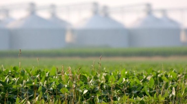 La Bolsa bahiense espera un promedio de 1.8000 kilogramos de soja por hectárea en abril