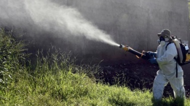 La municipalidad de Bahía Blanca fumigará a pocas cuadras del centro tras un caso de dengue no autóctono