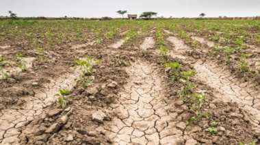 El gobierno bonaerense prorroga la emergencia agropecuaria por sequía