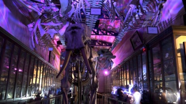Convocan a instituciones bonaerenses a participar de "Una Noche en los Museos"