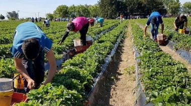Abre la convocatoria bonaerense para Proyectos de Agregado de Valor Cooperativo: ¿hasta cuándo hay tiempo de inscribirse?