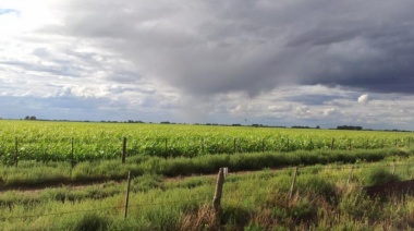 Se esperan fuertes vientos en el sur bonaerense