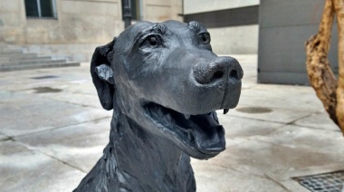 Municipio del Conurbano tendrá un monumento al perro