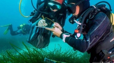 Llega la primera edición de las Olimpíadas de Ciencia del Mar a Bahía Blanca