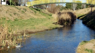 Bahía Blanca: Extrajeron más de 400 kilos de residuos de un arroyo