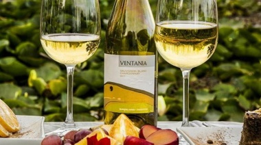 Bodegas bonaerenses: ¿en qué distritos de la provincia se pueden visitar?
