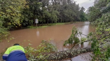 Crecida del Paraná: Provincia monitorea la zona de islas del Delta