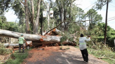 Pilar: El Municipio continúa trabajando sobre los daños causados por la gran tormenta