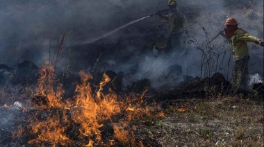 Advierten que en Mar del Plata hay alto riesgo de incendios forestales este fin de semana
